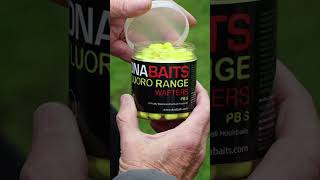 HAVE YOU TRIED THESE IN WINTER? #carpfishing #dnabaits #carp #fishing #angling