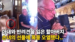 사랑하는 아내와 반려견을 잃은 할아버지.. 손녀의 '써프라이즈'에 폭풍 오열