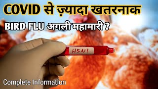 100 times worse than COVID is spreading across the world | h5n1 bird flu pandemic