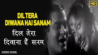 Dil Tera Diwana Hai Sanam - Dil Tera Deewana - Lyrical Song - Lata Mangeshkar,Mohammed Rafi   Shammi