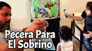 Pecera Para El Sobrino