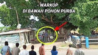 KEJADIAN VIRAL❗sosok penunggu pohon sakral ternyata jadi teman penjual warkop.