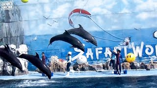 SAFARI World - Bangkok | Dolphin Show | Sea Lion Show | Orang Utan Boxing | Marine Park - Thailand