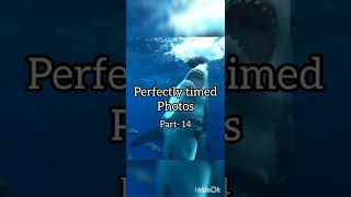 Perfectly timed photos part-14 [Creative World]👈#shorts