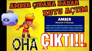 AMBER ÇIKARTANA KADAR KUTU AÇTIM (ÇIKTI)