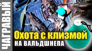 Охота с клизмой на вальдшнепа вместе с Артуром Ларханиди.