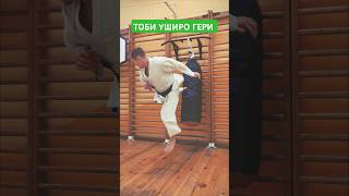 Каратэ: Тоби УШИРО ГЕРИ #karate #flyingkick #spinningkick #karatetraining #karatetoday #martialarts