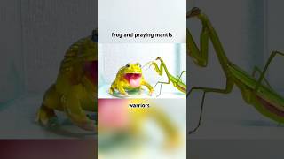 frog and praying mantis #frog