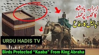 ابراہے بادشاہکا کعبہ پر حملہBirds Protected "Kaaba" From King Abraha