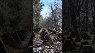 siegfried line Panzersperre westwall #worldwar2 #panzer #war #wald #history #germany #tank