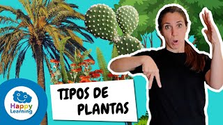 Descubre los Tipos de Plantas en Lengua de Signos | Happy Learning 🌱🌸🌳