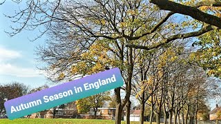 Autumn in England//Beautiful Autumn season in UK//Autumn Season 2020