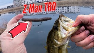 Ned Rig Down 😢 Zman TRD Texas-Rigged Adjustment Anyone? 🤠