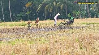 joki cilik asik membantu kakak mengoprasikan  traktor sawah quick impala