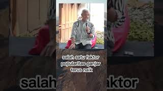 faktor popularitas ganjar terus naik #ganjarpranowo