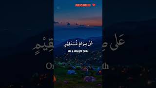 Yaseen Shareef ❤️ #qurantilawathearttouchingvoice #quran #subscribe #youtubeshorts  #allahquran