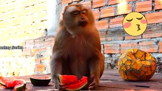 WOW!! So beautiful mommy Pimly eat watermelon and make a face cute