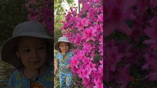 👶🏻He loves touching the Azaleas!🌺 #flowers #outdooradventure #goodvibes #naturelover #simplejoys