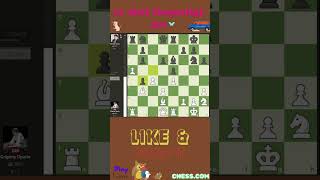 MIND BLOWING Chess Moves That Will SHOCK You!