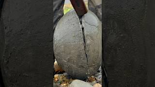 Splitting GIANT Beach Stone BALLS For Fossils And Crystal! 😵😵‍💫🦑🔨