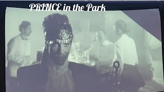 WASHINGTON DC:  PRINCE in the Park, July 2024