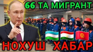 ⚡️РОССИЯДА 🇺🇿🇹🇯🇰🇬 66 ТА МИГРАНТ ХАКИДА НОХУШ ХАБАР