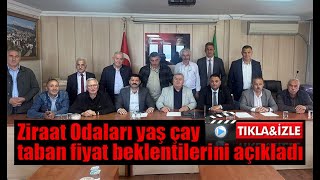 Ziraat Odası Başkanları 2024 yılı yaş çay fiyatı beklentilerini açıkladı