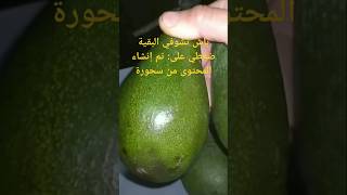 ردو البال لهاد للعلامة ونتوما كتشريو لافوكا