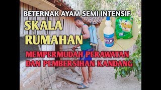 SEMPROT KANDANG AYAM DENGAN BAYCLIN!