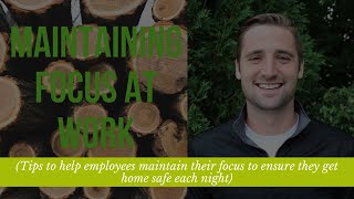 Maintaining Focus at Work for Arborists