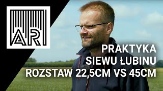 Praktyka siewu łubinu — analiza rozstawu 22,5 cm i 45 cm || AR #216