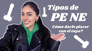 TIPOS DE PENE Y ¿CÓMO DAR PLACER CON ELLOS? | ¿Cuál tienes tú? | Estef Palacios