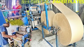 Fully Automatic PAPER PLATE Making Machine Factory | Mass Production | Small Scale Industry