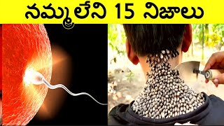 Top 15 Interesting Facts In Telugu | Facts In Telugu new | Telugu Facts |CTC Facts