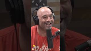 JOE ROGAN and BILL BURR on tigers and UFC #joerogan #jre #shorts #viral #trending