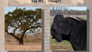 Three Keys - Part 3 of 3 - Thought