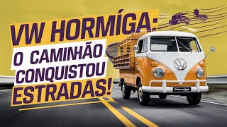 VW HORMIGA - O CAMINHAO CONQUISTOU ESTRADAS! #camion #mexicanos #discovery