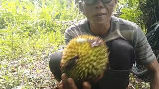 CARA MUDAH BELAH DUREN DARURAT