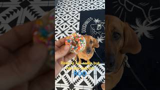 DOG LOVES MOM, YOU LOVE DOG #follow #fyp #viral