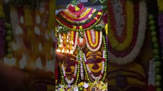 Malur mariyamma darshan