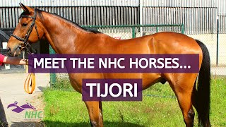 Meet the NHC Horses... Tijori