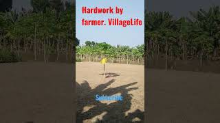 #hardwork #farmer  #village #কঠোর #পরিশ্রম #কৃষকবন্ধু #randomd2c #ট্রেন্ডিং #প্রকৃতির_রং