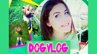 ★★★DOGVLOG★★★