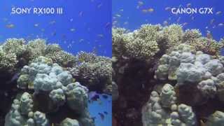 G7X vs RX100III - Underwater Video Comparison