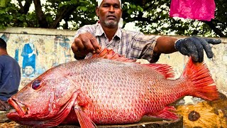 KASIMEDU RED SNAPPER FISH CUTTING VIDEO / cutting focus