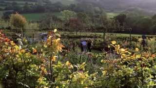 Yeo Valley - A Peek Behind the Scenes