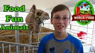 INDIANA STATE FAIR 2017 VLOG | FOOD, FUN, GAMES, AND ANIMALS | COLLINTV