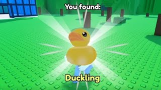 Find the Ducks - Where to Find the Duckling (Roblox)