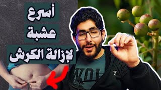 أسرع عشبة لإزالة الكرش | 9 أعشاب لحرق الدهون في الدايت