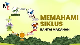 Bagaimana Memahami Siklus Rantai Makanan? | Part 2